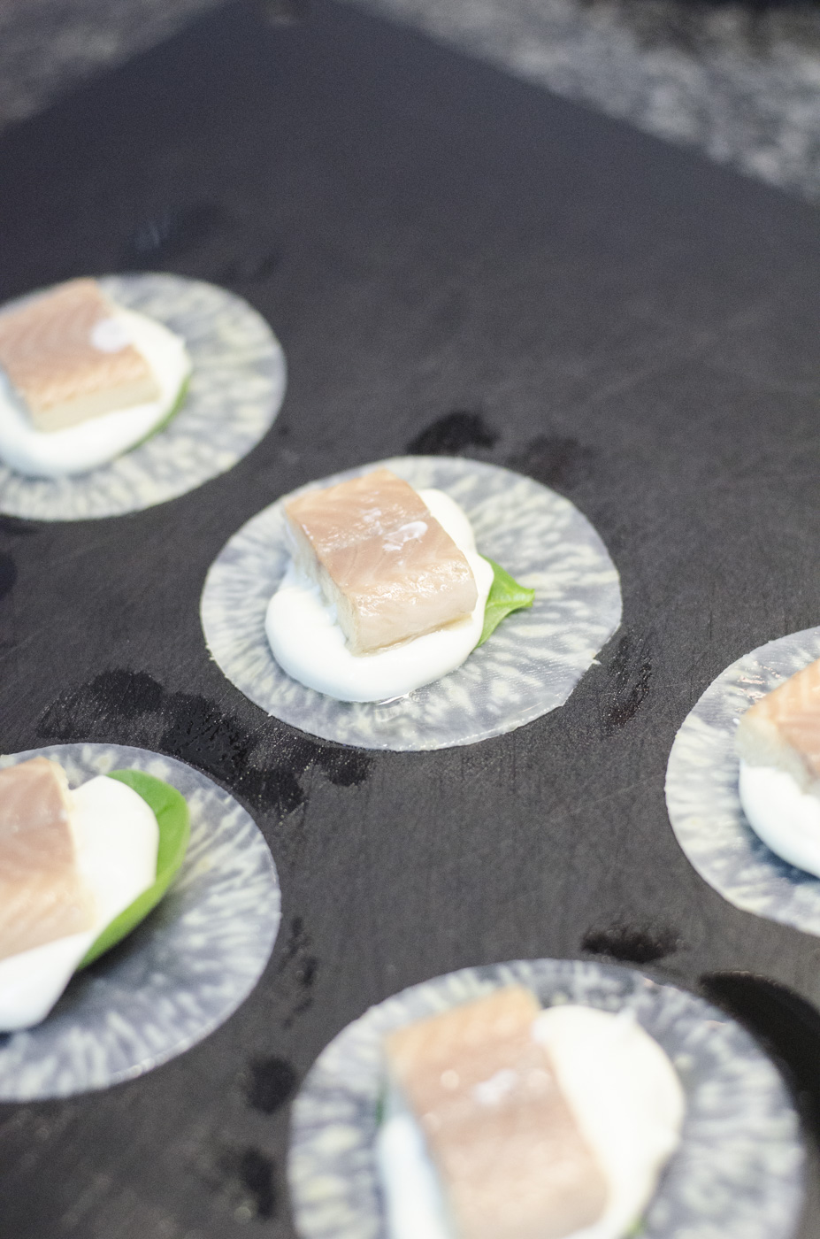 Sellerieblätter mit cremiger Räucherfischfüllung-3