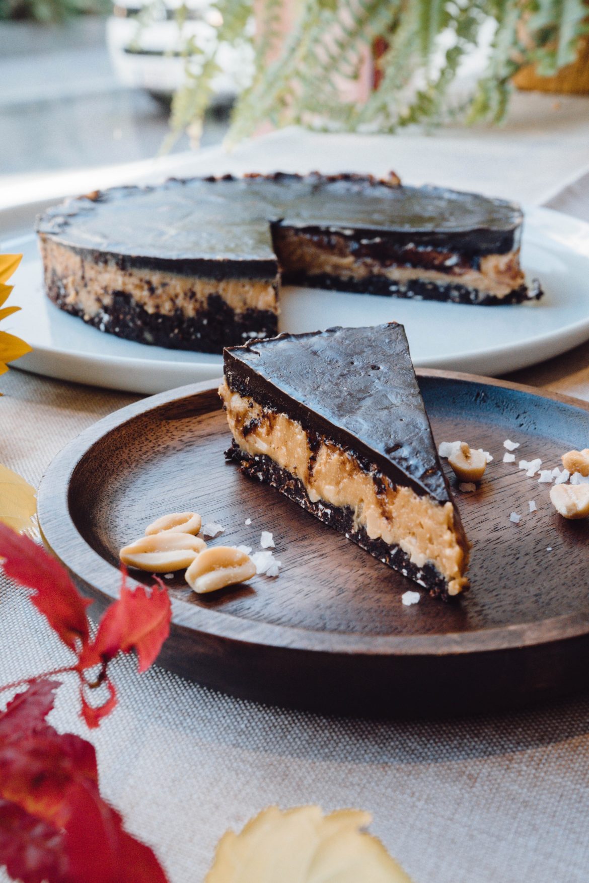 Erdnuss-Kakao-Schnitte