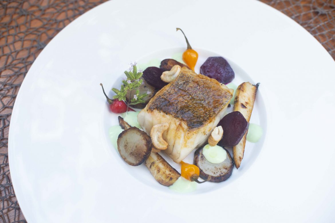 Essen Lieben – Zander mit Rübe und Wasabi Essen Lieben - Zander mit Rübe und Wasabi