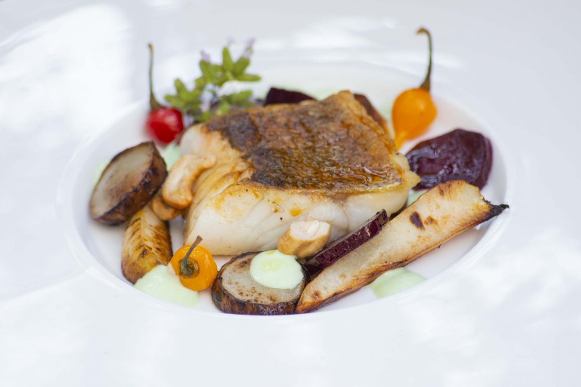Essen Lieben – Zander mit Rübe und Wasabi Essen Lieben - Zander mit Rübe und Wasabi