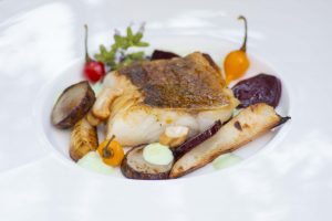 Essen Lieben - Zander mit Rübe und Wasabi