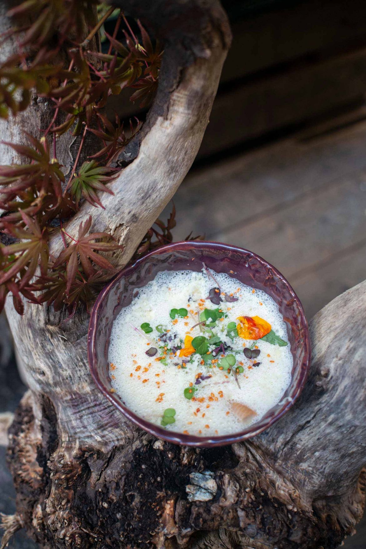 Krensuppe mit Räucherfisch - Essen Lieben
